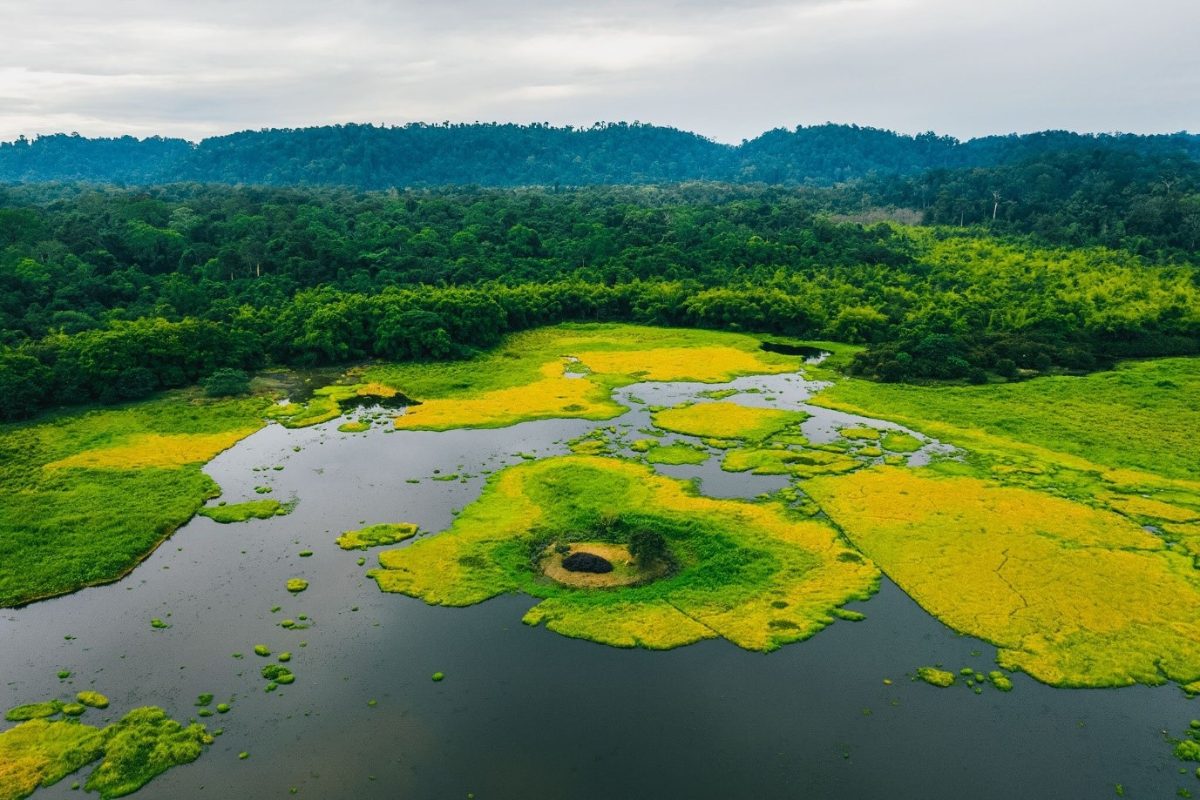 Le parc national de Cat Tien a été classé Réserve de Biosphère par l’UNESCO 