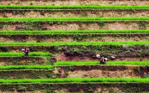 Sapa Vietnam