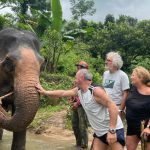 balade avec des éléphants au Vietnam Hauts Plateaux