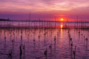 la lagune de Tam Giang - Hue