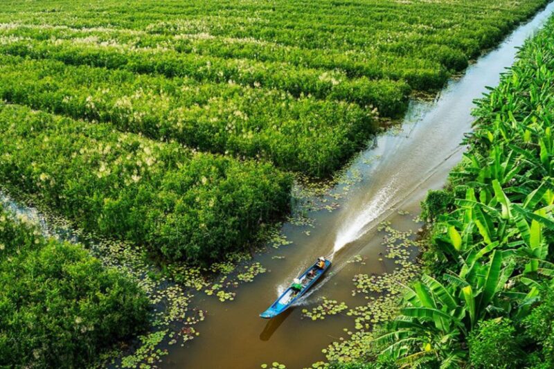 parc national U Minh Ha Ca Mau, delta du mekong