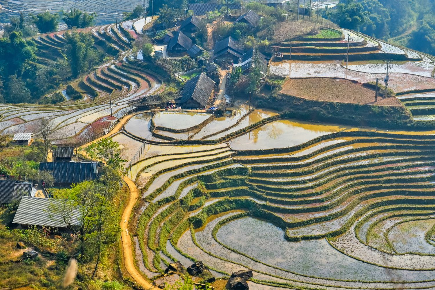 rizière en terrase Nord Vietnam