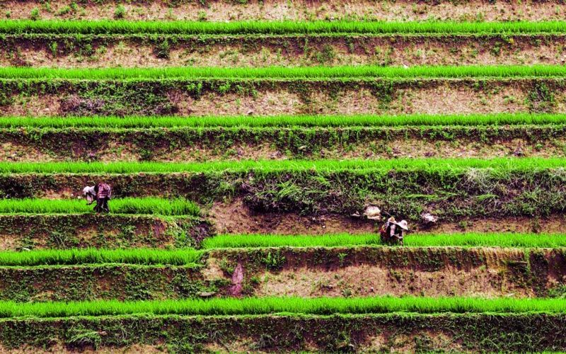 Sapa Vietnam