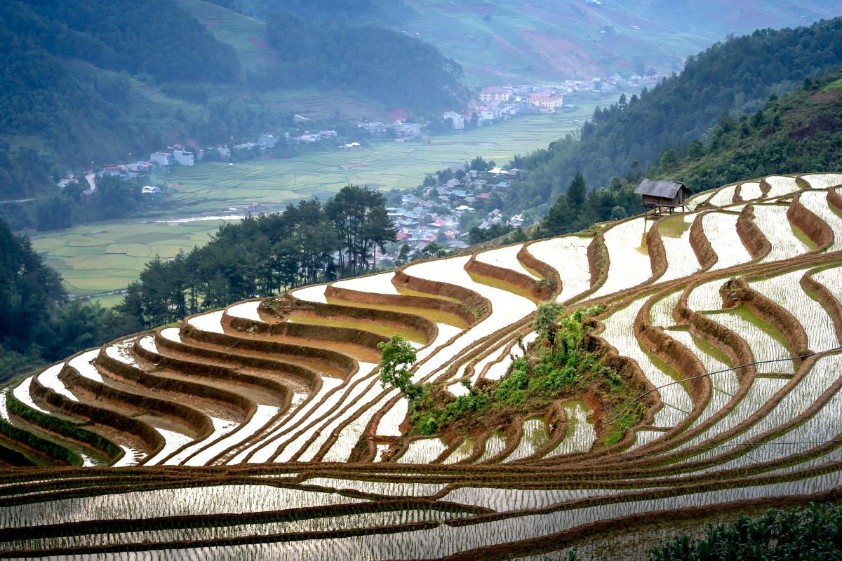Mu Cang Chai: les rizières en terrasses comme les miroirs