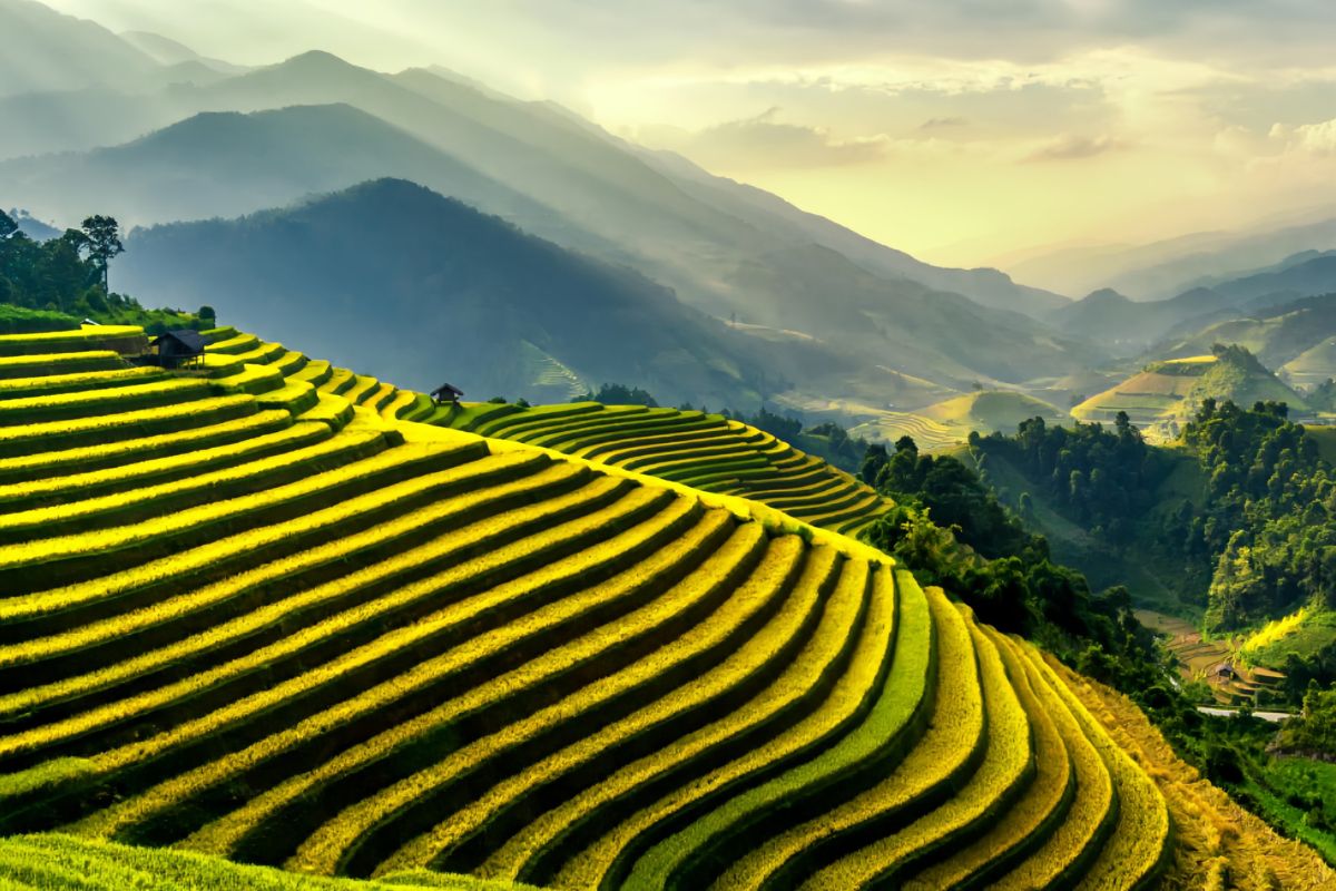 Mu Cang Chai : l'escalier vers le ciel