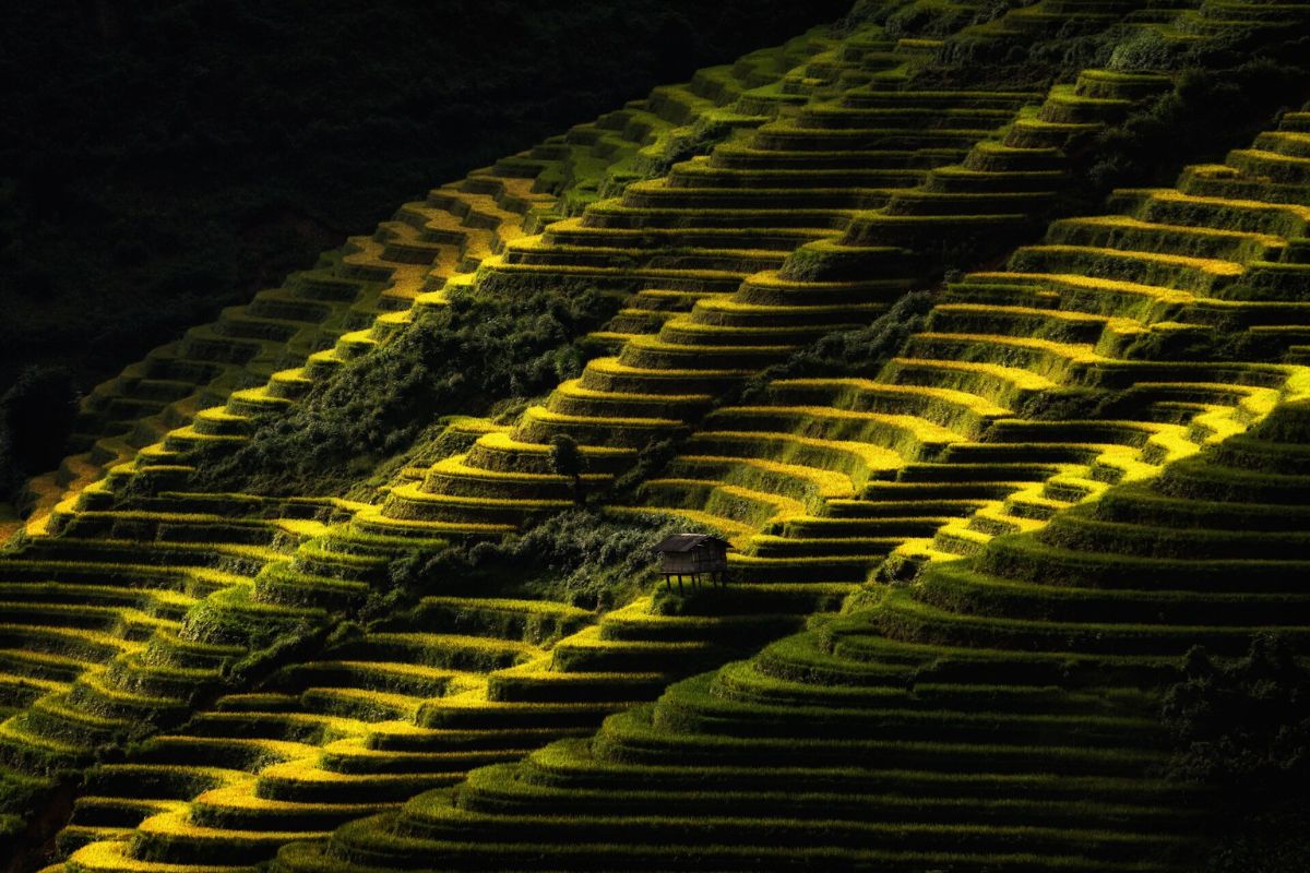 Mu Cang Chai l'un des plus beaux rizières en terrasses au Vietnam