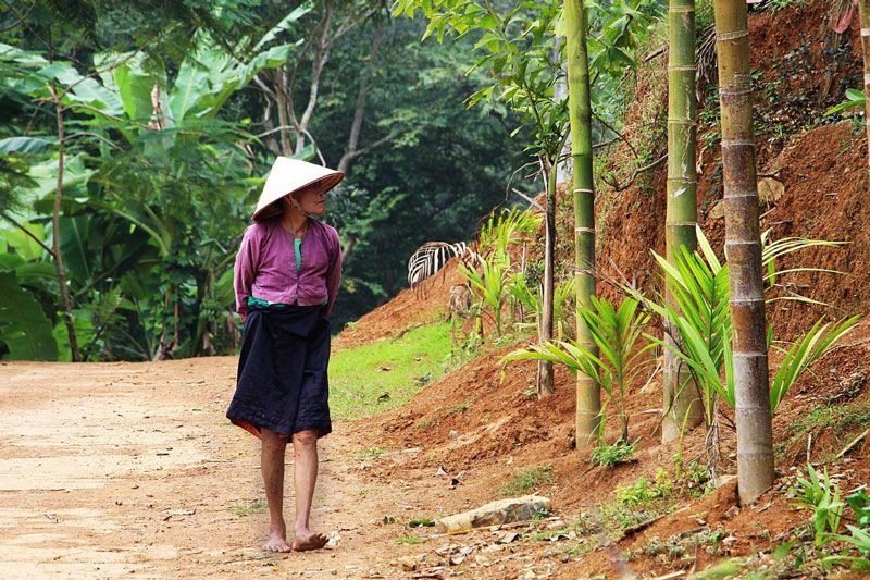 dans un village au Nord du Vietnam