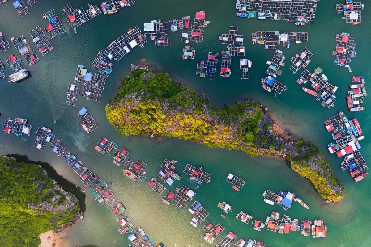 Cai Beo au Cat Ba - l'un des plus grands villages de pêcheurs anciens du Vietnam