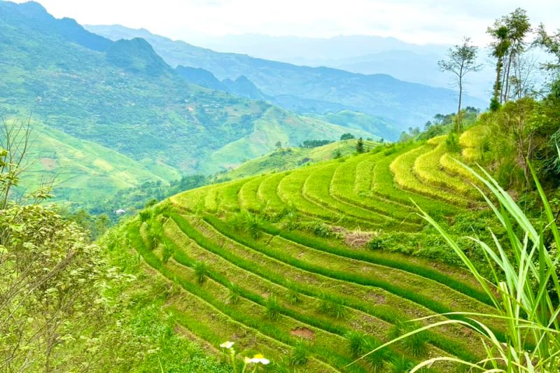 Viaje a medida por las montañas del norte de Vietnam