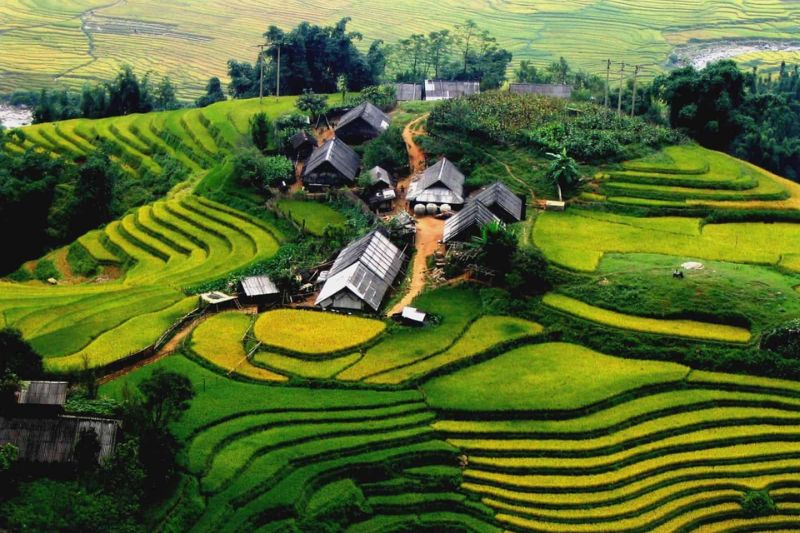 Paisaje de las terrazas de arroz del pueblo de Ta Phin