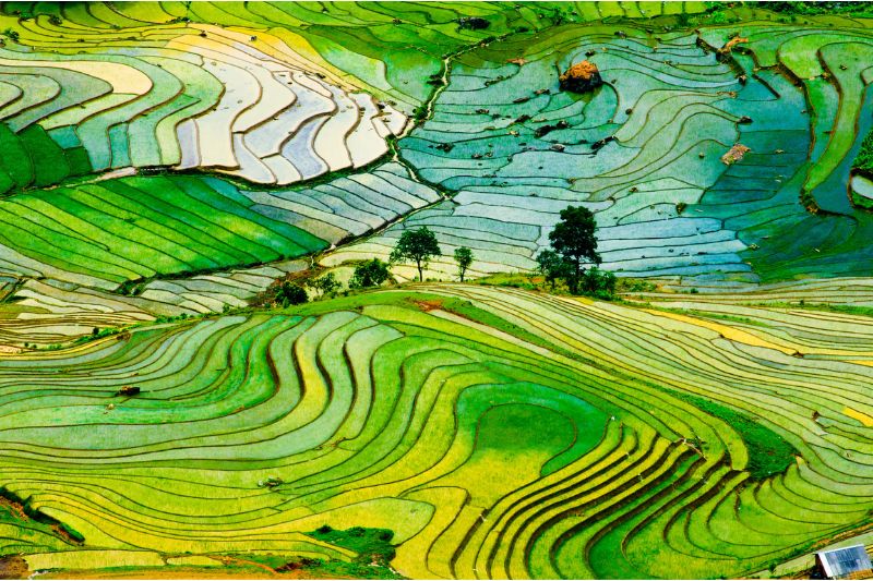 Sapa una de las terrazas de arroz más hermosas de Vietnam