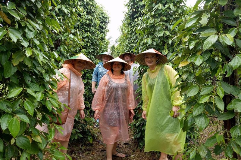 Visita la granja de pimientos en Phu Quoc 