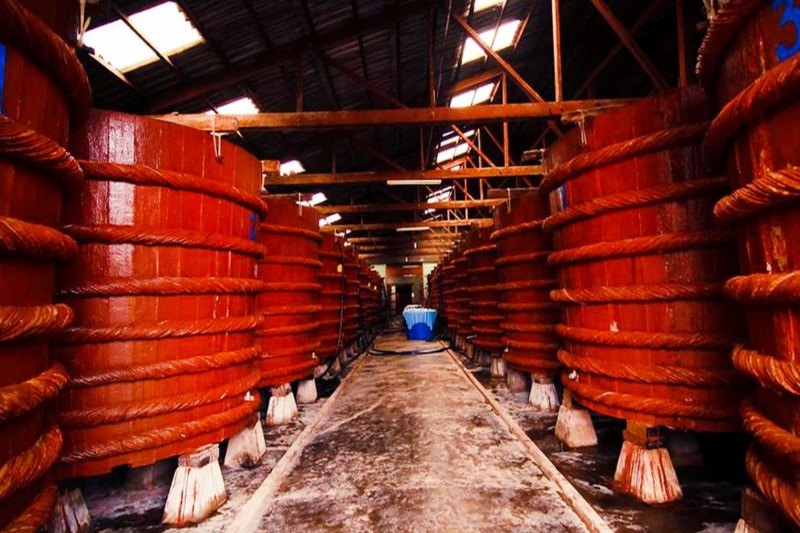 Visita una fábrica de salsa de pescado 