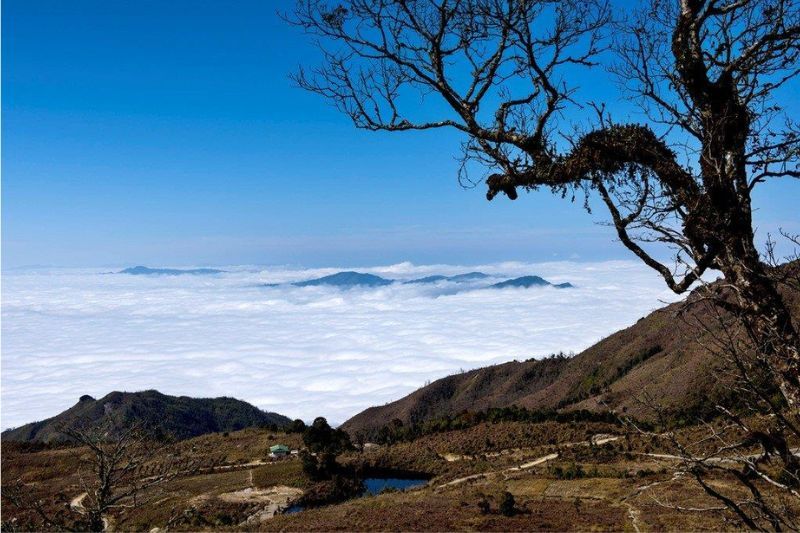 Persiguiendo las nubes en Tay Con Linh (fuente: mia.vn)