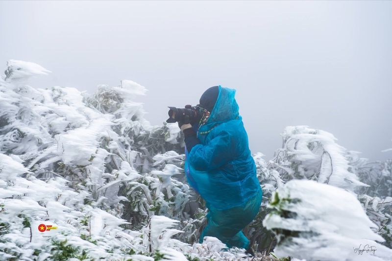 Cazador de nieve en Mau Son (fuente: Nguyen Son Tung)