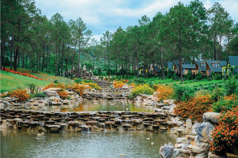 Bosque de pinos de Ang Village: un lugar idílico para acampar en Moc Chau (fuente: vnexpress.vn)