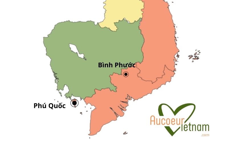 Région pour la culture du poivre du vietnam