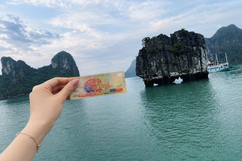 image (31)