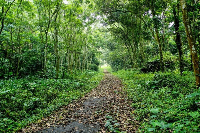 Le parc national de Cuc Phuong figure parmi les 8 parcs nationaux les plus impressionnants du Vietnam 