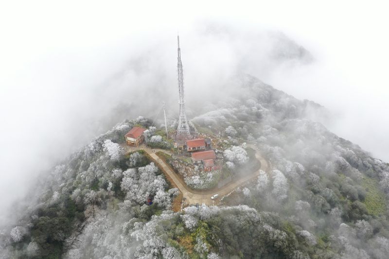 Vista aérea de las montañas Phia Oac - Cao Bang envueltas en niebla y nieve (fuente: vnexpress.net)