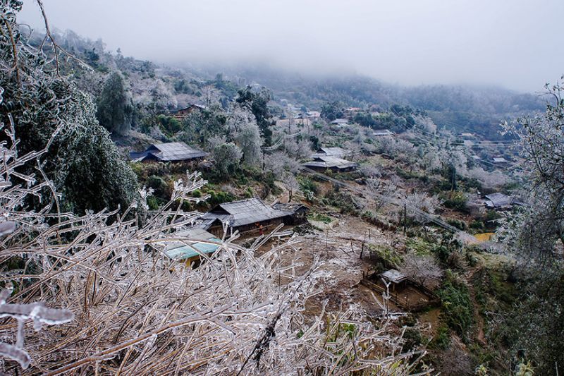 El frío glacial envuelve Tà Xù, congelando la vegetación y los paisajes en una capa de hielo y nieve. (fuente: thanhnien.vn)