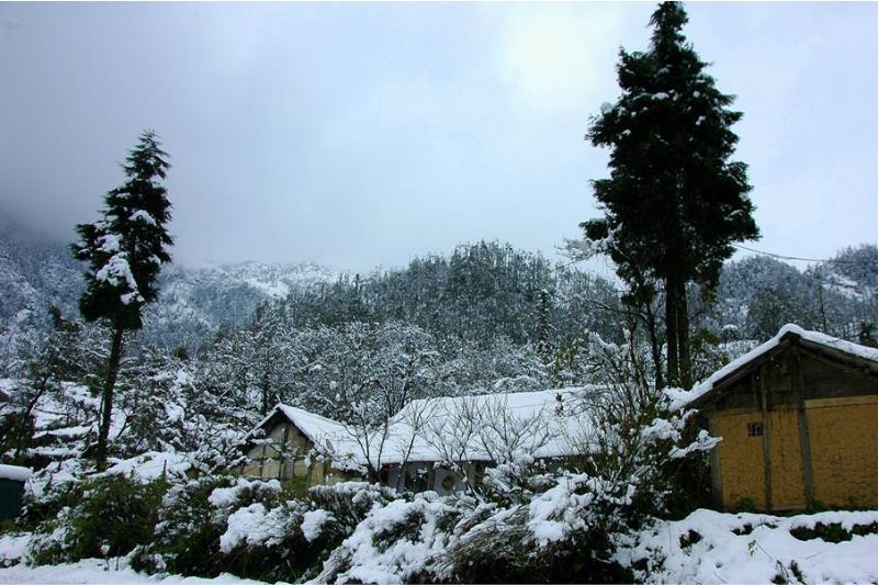 La nieve blanca da a los paisajes del noroeste de Vietnam un aire europeo. (fuente: haiauphoto)