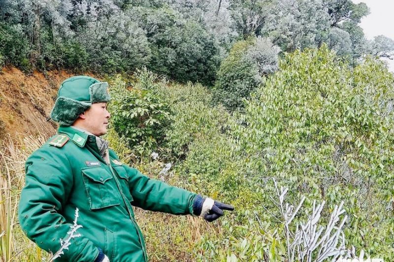 Los soldados en las fronteras de Nghe An y Laos vigilan en medio de un invierno helado (fuente: tuoitre.vn)