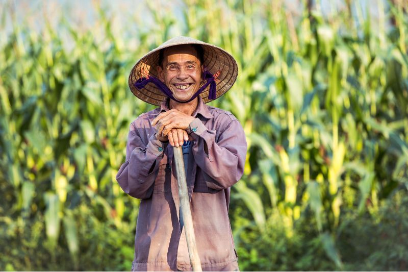 sonrisa de los vietnamitas