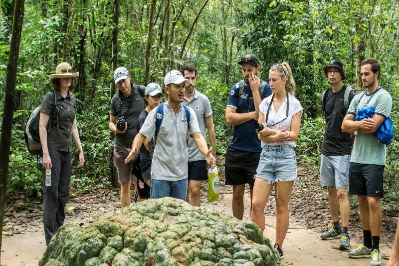 Explora los túneles de cu chi con un guía de habla francesa (Fuente: visithcmc)