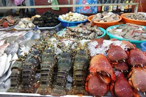fruit de mer (1)