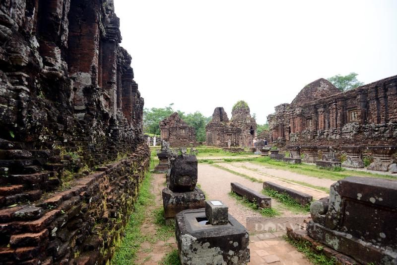 El santuario de My Son, quang nam, en el centro de Vietnam (Fuente: Danviet.vn)