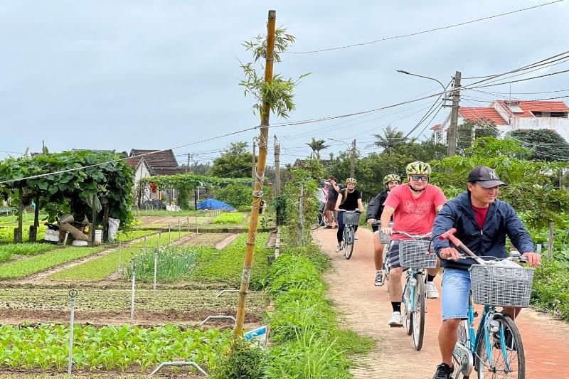 andar en bicicleta por los campos de arroz