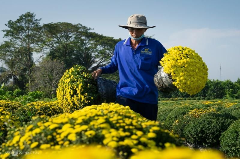 Colores del pueblo de las flores en su diciembre (Fuente: vnexpress)