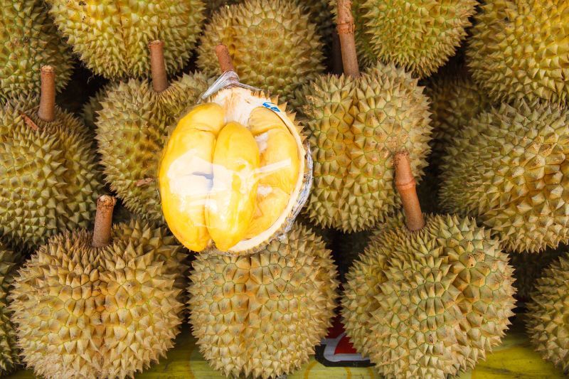 durian fruit vietnam