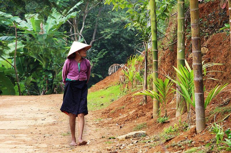 en un pueblo del norte de vietnam