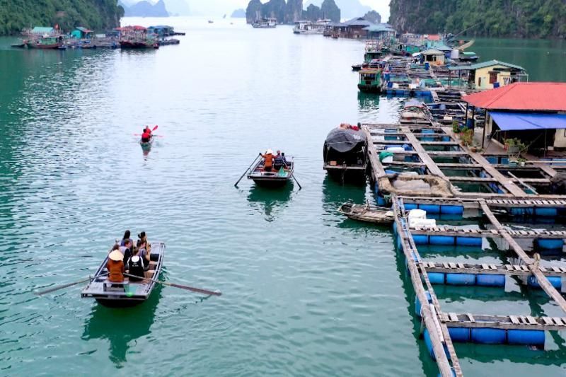 Viaje en barco de coco (fuente: Au coeur Vietnam)(¿Qué hacer en Hoi An?)