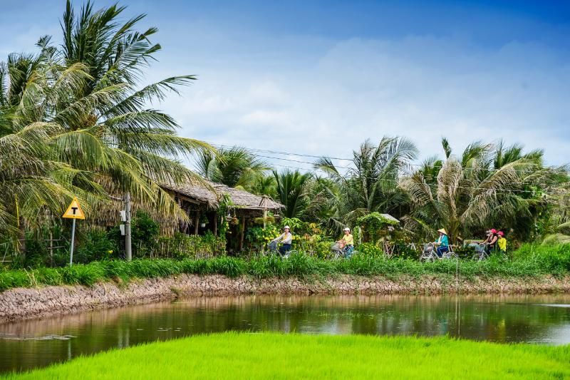 le paysage paisible à con chim ile, tra vinh (1)