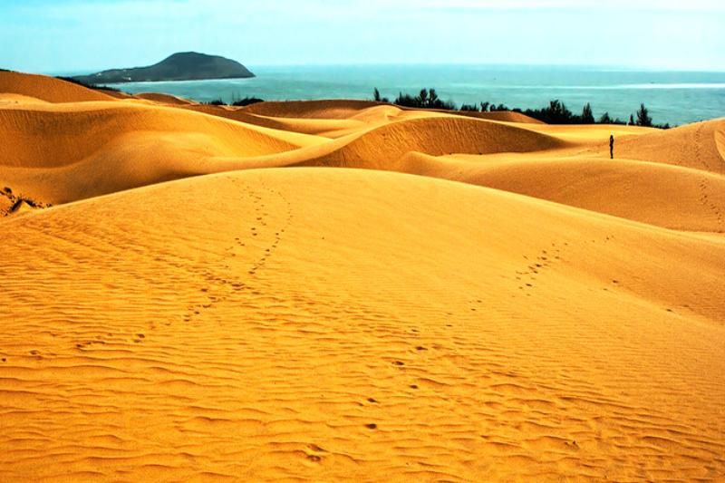 les dunes de sable rouges (1)