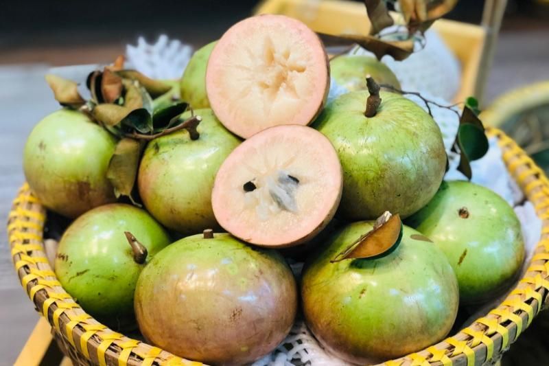 Manzana caimito en el delta del Mekong (Fuente: Medlatec)