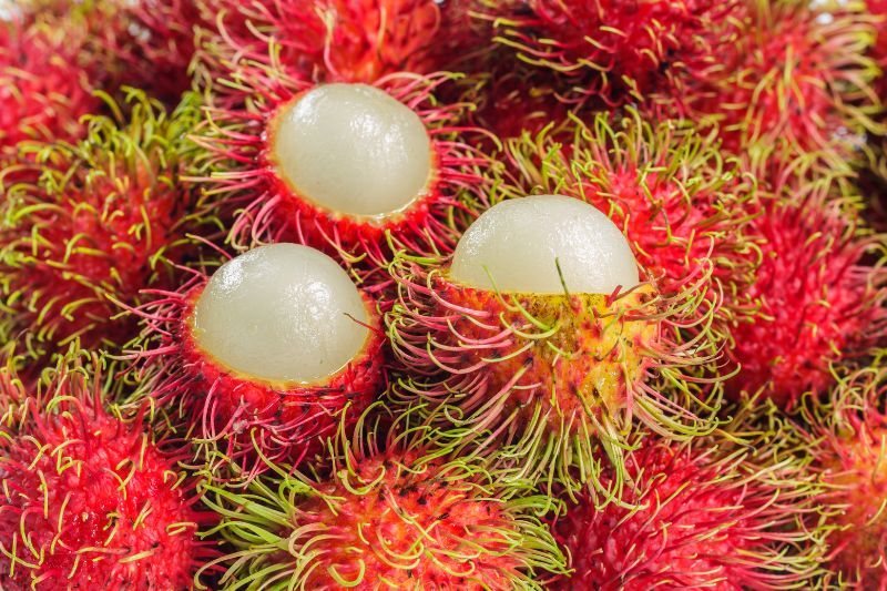 Les fruits au Vietnam : 15 fruits à découvrir