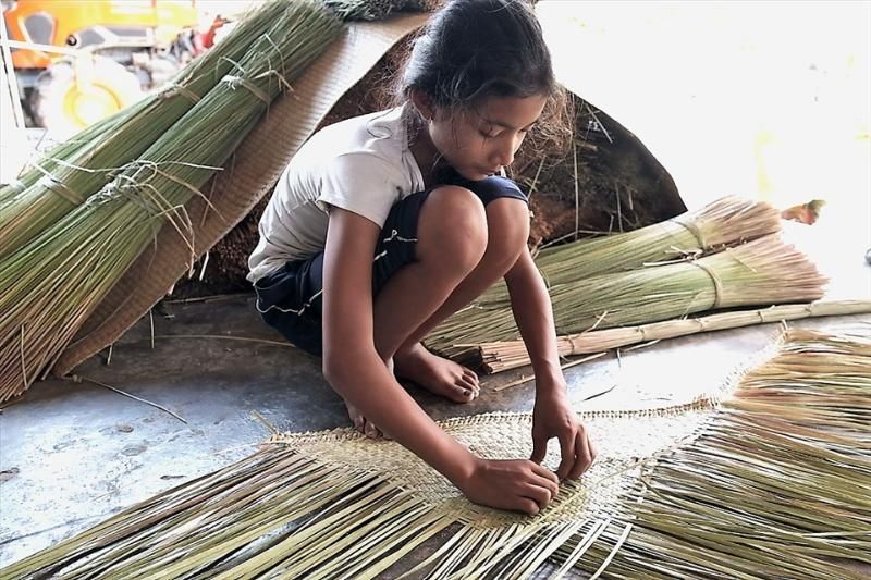 tejido de cỏ bàng en el pueblo de phu my, dong thap (Fuente: El diario de Lao Dong)