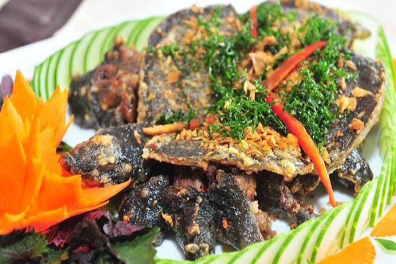 viande de tortue molle est dans la liste des plats vietnamiens insolites (1)