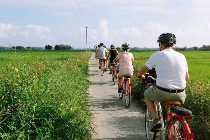 Tour en bicicleta para visitar Tra Que, Hoi An (Fuente: TripsPoint)