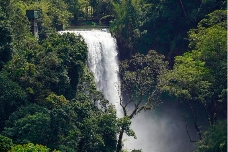 Cascadas del sur de Vietnam - Cascada Dambri (fuente: canva.com)(Cascadas en Vietnam)