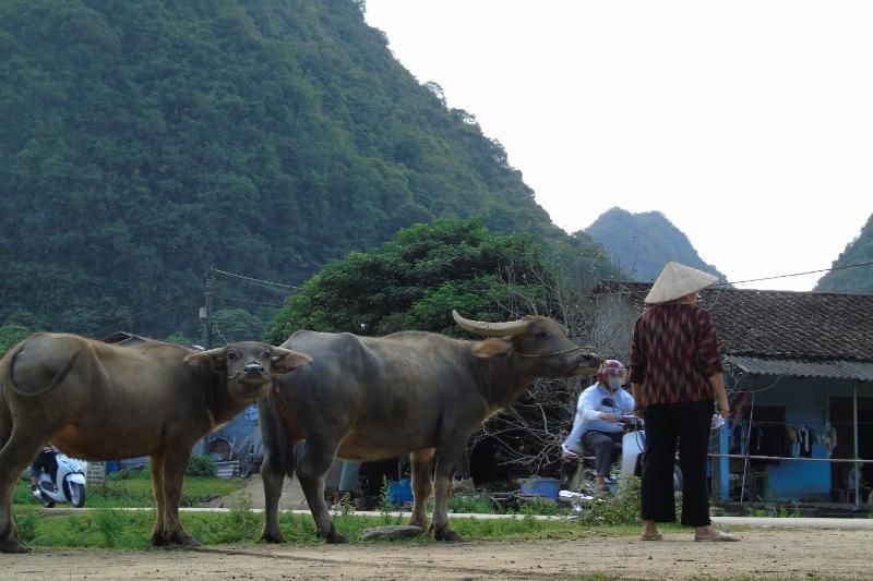 El paisaje muy tranquilo en el campo en Cao Bang (Fuente: Hieu Tuyen)