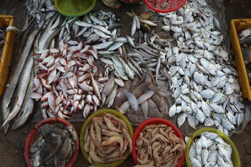 Mariscos en los pueblos pesqueros de Nha Trang (fuente: Digticket)