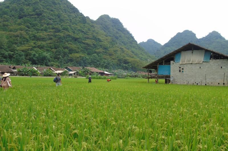 Sumérgete en los hermosos paisajes de Cao Bang, al norte de Vietnam (Fuente: Hieu Tuyen)