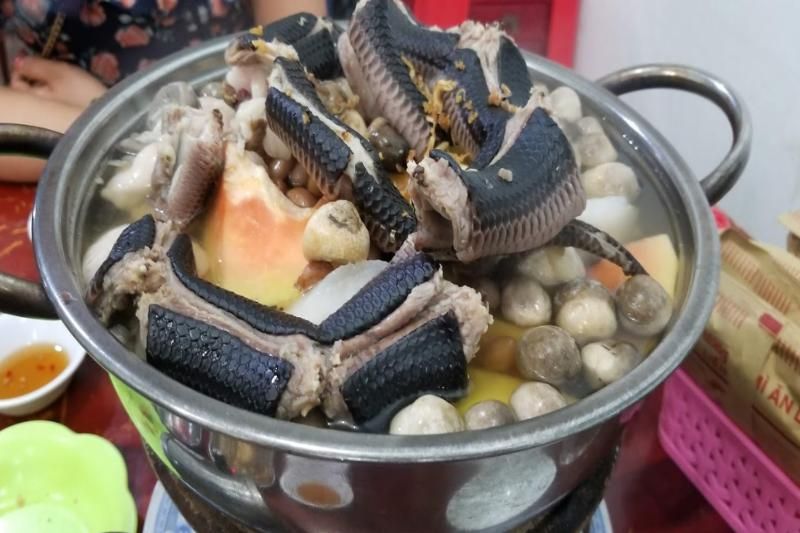 estofado de serpiente (Fuente: turismo Mien Tay)