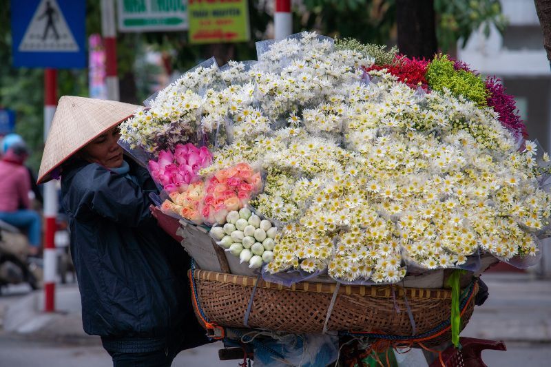 temporada de flores en hanoi.(Capital de Vietnam)