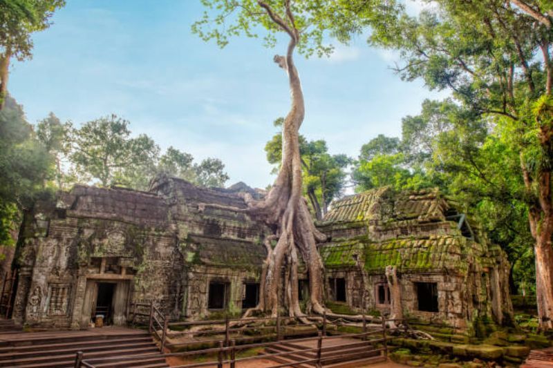 temple ta prohm au cambodge (1)